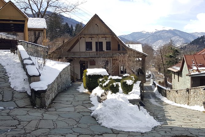 Day trip to: Lake Sevan-Dilijian (Old Dilijan, Haghartsin Monastery) - Who this tour suits best (and who might want a different plan)