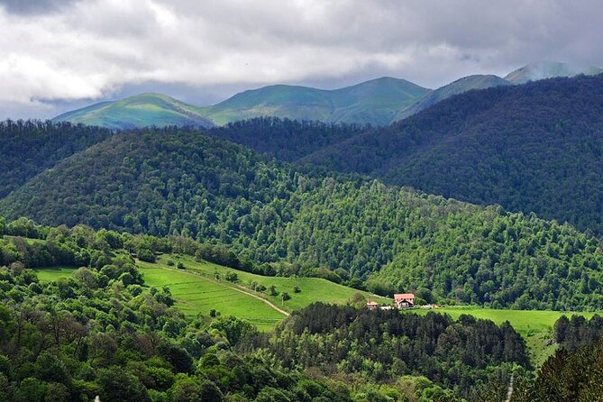 Lake Sevan & Dilijan Guided Day Trip with Ijevan Wine Tour - Haghartsin Monastery: Medieval Stone, Forest Quiet, and Khachkars
