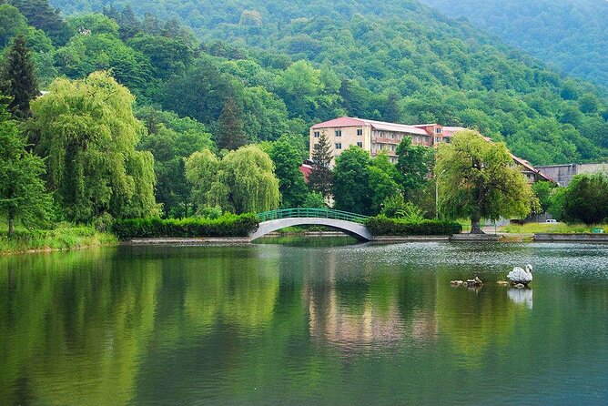 Lake Sevan & Dilijan Guided Day Trip with Ijevan Wine Tour - Getting There Smoothly: Meeting Point, Ride Comfort, and Timing