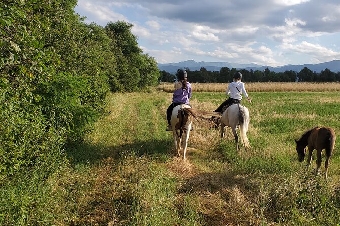 Lori Canyon Vacations - Day 1 From Zvartnots to Odzun: Horse Tips, Picnic, and Saddle Time