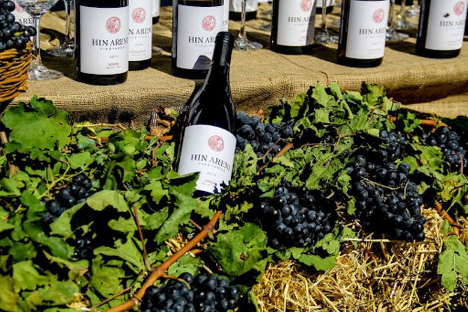 Private tour to Hin Areni winery, Tatev monastery & ropeway, Khndzoresk caves - Hin Areni Winery: a quick intro to Armenian grapes and modern production