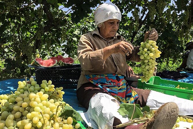 Private tour to Khor Virap, Ararat view - FAQ
