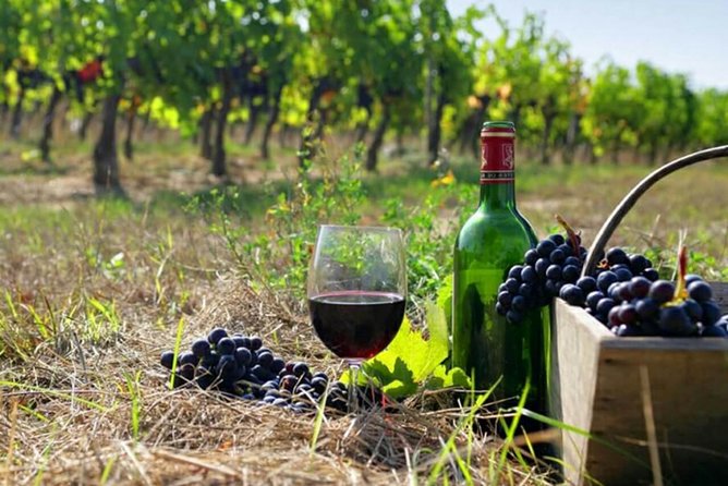 Private wine tour to Khor Virap, Areni winery, Noravank - Key highlights worth planning around