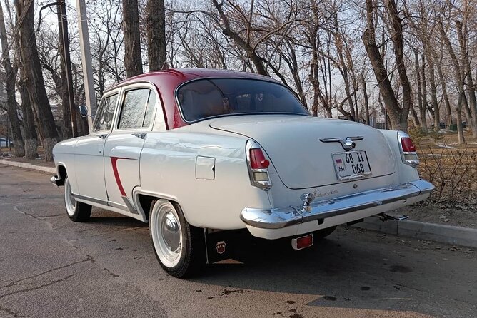 Retro KGB Tour: A Volga 21 Adventure in Yerevan's Soviet Past with photography - Swan Lake and the smaller stops: fun photos, not just big monuments