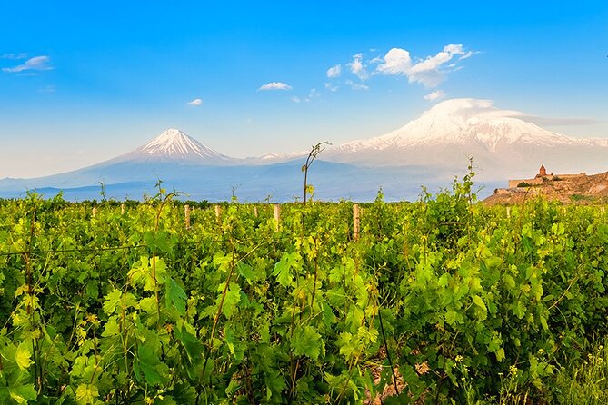 Tatev & Shaki Waterfall Guided Group Tour with Wine Tasting - Stop 4: Areni Winery Stop and Wine Tasting in the Famous Area
