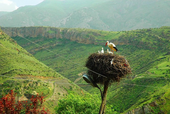 The Great Beauty of Armenia: 7-Day Culture and Cuisine Tour - Day 6: Amberd Fortress Views and the History Museum of Armenia