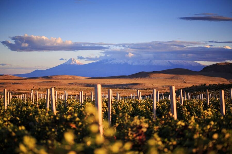 Yerevan: Khor Virap Day Trip with Mount Ararat Wine Tasting - Key highlights worth planning for