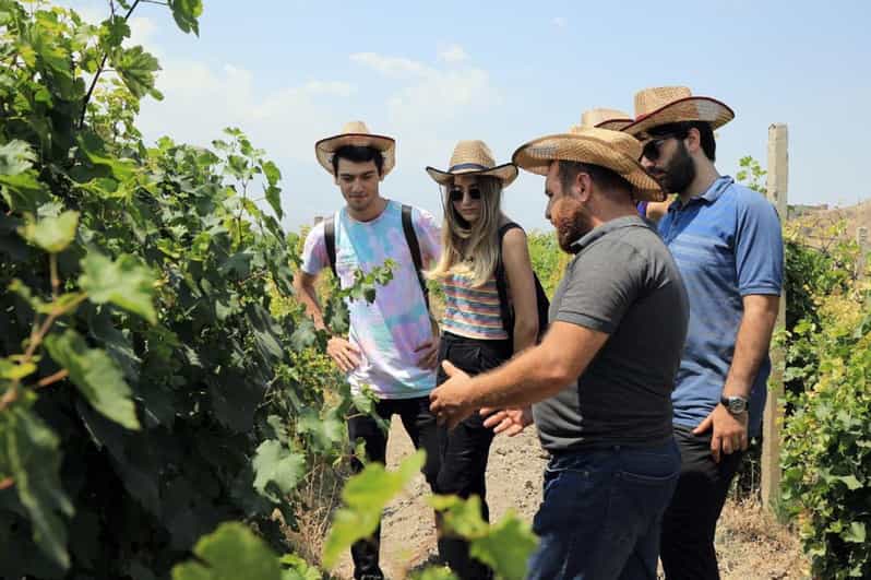 Yerevan: Khor Virap Day Trip with Mount Ararat Wine Tasting - Armenian wine tasting: why the setting matters as much as the pour