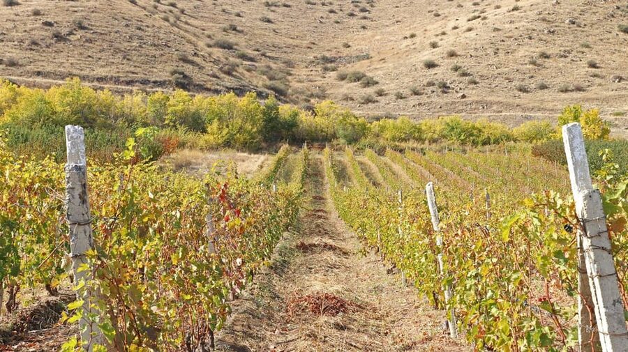 Yerevan: Khor Virap Day Trip with Mount Ararat Wine Tasting - What the 5-hour schedule feels like (and how to plan around it)