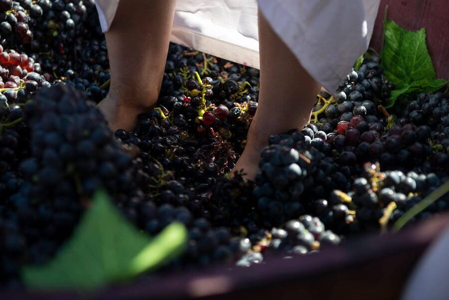 Yerevan: Khor Virap Day Trip with Mount Ararat Wine Tasting - From monastery steps to vineyards with Mount Ararat in view