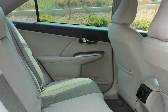 Yerevan to Tbilisi Private car transfer 3 Scenic stops - The border day: what to expect with your driver